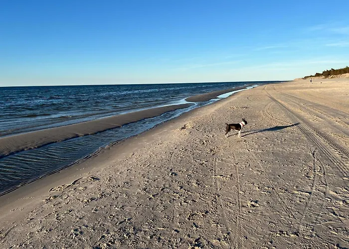 Bialogorachill11d * Białogóra